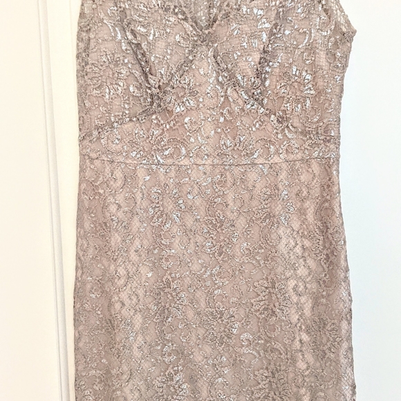 BCBG EUC silver lace dress size 6 - Picture 5 of 7